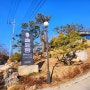 시흥 캠핑장 - 서울근교 깨끗한 신생캠핑장 솔잎향 캠핑파크 5번사이트