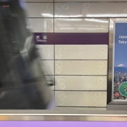 도쿄 여행 후기ㅣ도쿄 지하철 이용하기: 도쿄 메트로 도에이 티켓 구매하기, 요금, 노선도, 환승하기, 이용시간