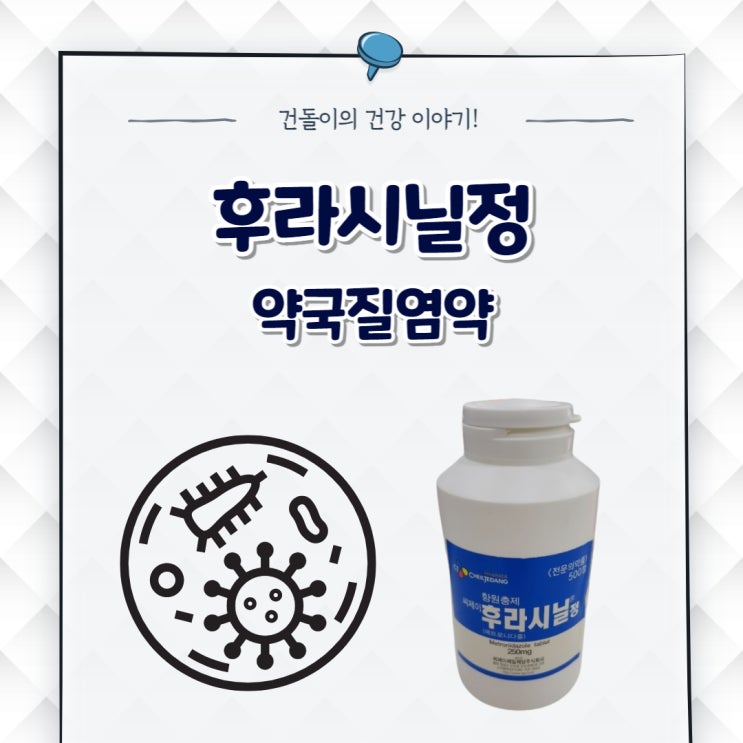 약국질염약 후라시닐정 성분과 챙기는 방법 정리 : 네이버 블로그