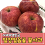 사과유명한곳 한박스 더 주문한 리얼후기(feat.밀양얼음골 꿀사과)