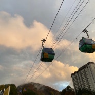 평창 용평리조트 가족여행 발왕산케이블카 컬러랜드 공룡해양랜드