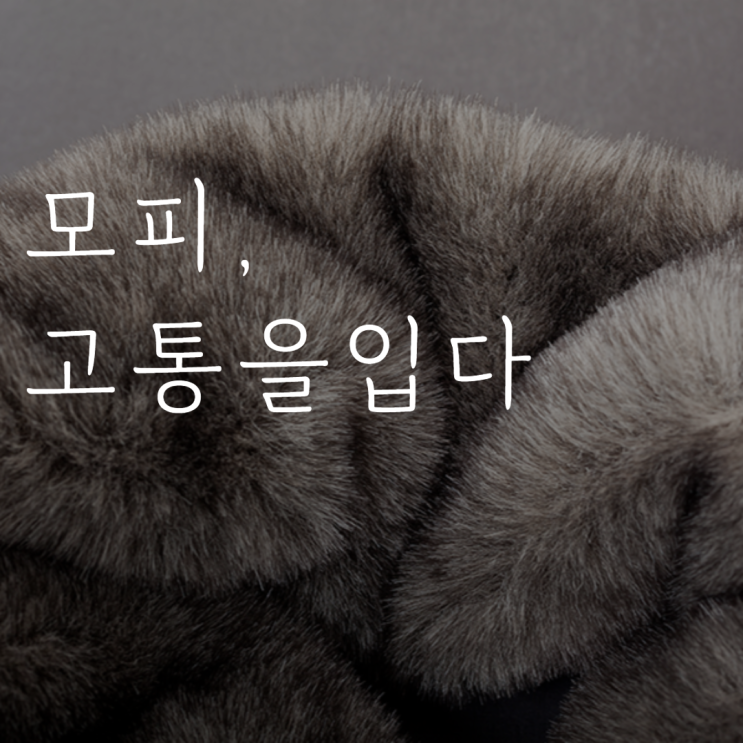 모피코트 한 벌에 몇 마리가 희생될까? 모피의 불편한 진실 : 네이버 블로그