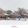 서산 해미읍성 겨울 풍경