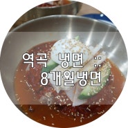 역곡냉면, 8개월냉면 양념 쫀득 리얼 손맛