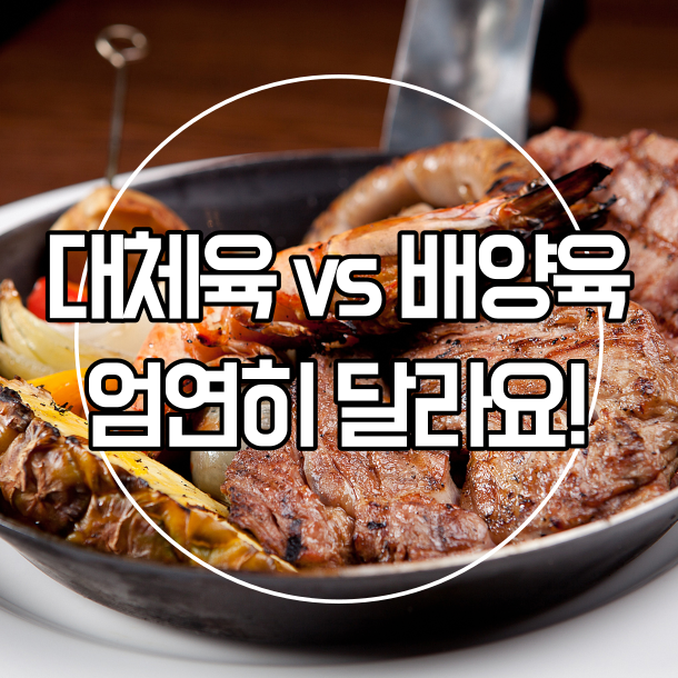 대체육, 배양육 엄연히 달라요! 각각의 문제점도 한 번 알아볼까요? : 네이버 블로그