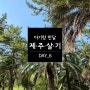아기랑 제주도 한달살기 6 - 마니주/한림공원/명월국민학교/금오름