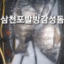경남사천 삼천포 발방(화력발전소방파제) 감성돔 찌낚시 출조