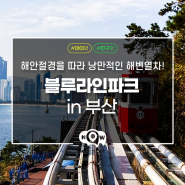 부산 블루라인파크 | 해변열차와 스카이캡슐 탑승기