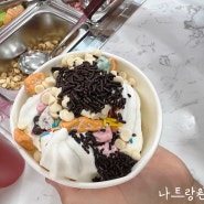 나트랑 아이스크림 레인보우 요거트(Rainbow Yogurt)