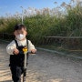 32갤아기와 함께 가을 나들이, 하늘공원 억새축제