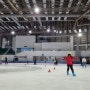 [서울] 태릉 국제 빙상 스케이트장 - 아이들과 스케이트