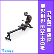 고고런 에셜론 ECH-ROW 로잉머신 렌탈, 고강도 가정용 홈트 기구!