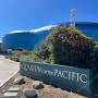 [LA 교환학생 일상] Santa Ana Zoo(산타애나 동물원)/AQUARIUM of the PACIFIC(LA 태평양 수족관)