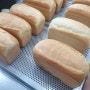 제빵기능사 5주차(2) - 버터톱식빵