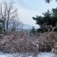 걷기기록) 겨울의 청주 백화산