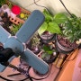 알리익스프레스 추운 겨울 화분에 식물성장 LED 쬐어주는 식물재배기 구매 후기