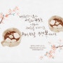 전주 한옥마을 캘리그라피공방 아트샵쓰담 아이패드드로잉 1일1캘리 한국디자인교육센터