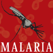 말라리아의 역사 :: 3명의 악마로 불린 전염병!