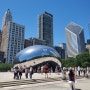 미국 시카고 밀레니엄 파크 공원 Chicago Millennium Park, 클라우드 게이트, Cloud Gate, 프랭크 게리, 시카고 빈,더 빈 The Bean, 크라운분수