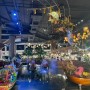 방콕 자유여행 쇼핑몰 투어 아이콘시암 쑥시암 맛집 대방출