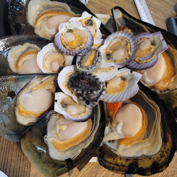 충남 대천 조개구이 맛집 바운스 회 조개구이 : 네이버 블로그
