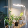 식물용 LED 닷드 식물성장등 조명 추천해요