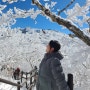 12월 24일 등산일지 : 전북 무주 덕유산 | 곤도라, 눈꽃산행