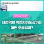 대전역앞 역전지하도상가는 어떤 모습일까?