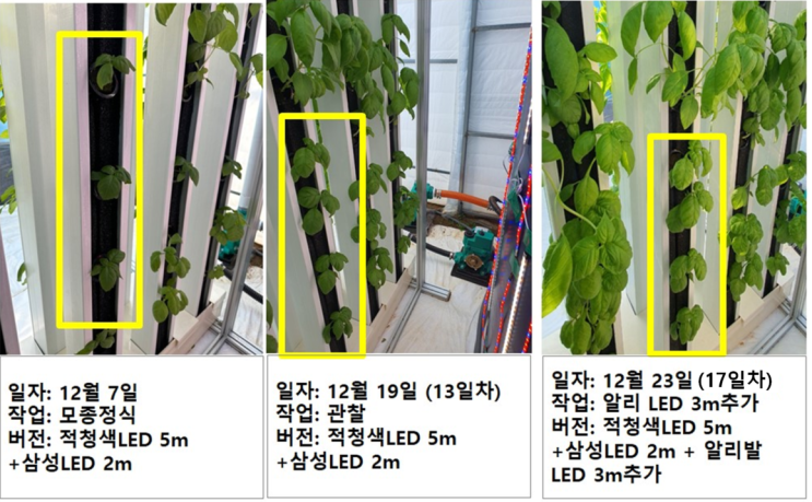 식물 LED 보강(첫번째 문제_물탱크 주변광량) : 네이버 블로그