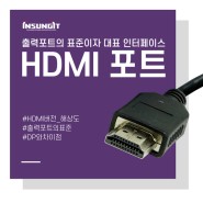HDMI 포트 란? HDMI버전 별 해상도 및 주사율 정보 / HDMI케이블 선택하는 방법과 DisplayPort 비교까지