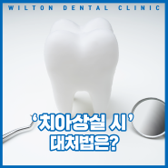 성현동임플란트, 윌튼치과 상실된 치아대처법 어떤 방법이 있을까요?