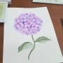 수채화 수국 그리기! 꽃그림 쉽게 그리기. 감성 식물 그림