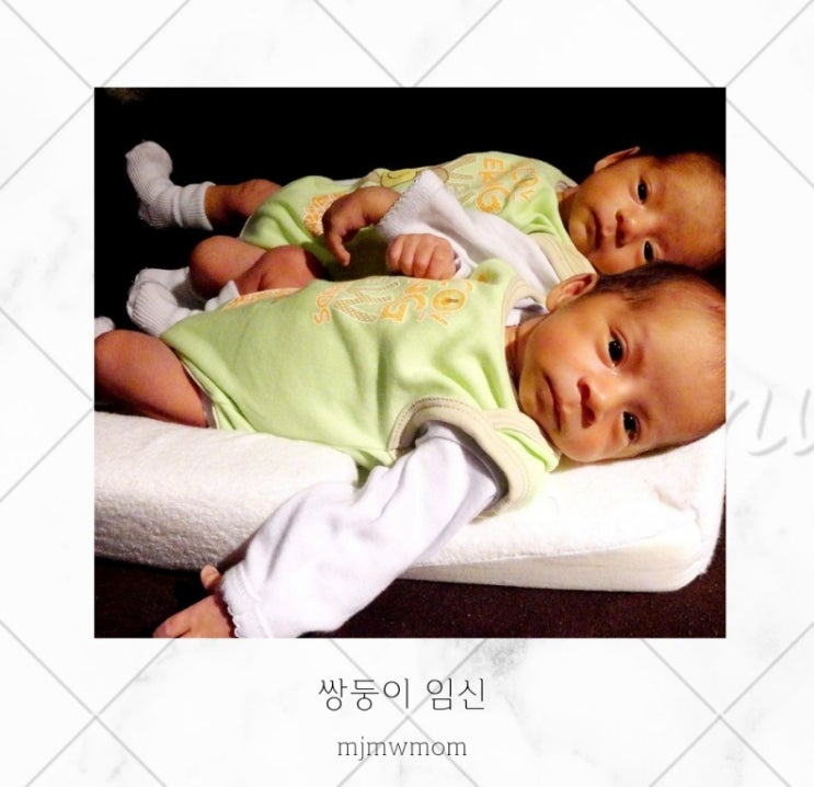 쌍둥이임신 자연분만 가능할까 일란성 이란성 세 네 쌍둥이 차이 : 네이버 블로그