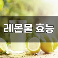 레몬물 효능 간단하게 만드는법