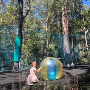 호주여행 | 시드니 한달살기 아이와 동반 가면 좋은 곳 트리탑 넷월드 treetop networld