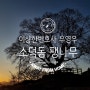 [경남 창원] 드디어 찾은 천연기념물 우영우 소덕동 팽나무