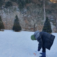 춘천 1박2일 겨울 가족여행 가평맛남샌드, 닭갈비 먹고 국립숲체원에서 해피크리스마스