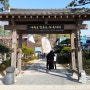 [포항 가볼만한곳] 구룡포 일본인 가옥거리 동백꽃필무렵 촬영지 까멜리아