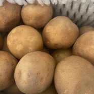 농라카페:: 소울청과물에서 감자 구매하다