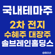 [국내주식테마주] 전기차 2차전지 밧데리 전해액 관련주 대장주 수혜주 - 솔브레인홀딩스