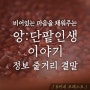 <힐링 영화 앙:단팥 인생 이야기 정보 결말> 비어있는 마음을 꽉 채워주는 팥소 이야기