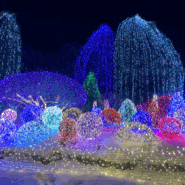 [아침고요수목원] 서울근교 가평여행 야경 명소 오색별빛정원전 불빛축제