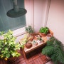 식물등 실내 홈가드닝 필수품 빛솔 LED 식물조명