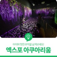대전 유성구 실내 데이트 나들이, 생물과 공존하는 '엑스포 아쿠아리움'