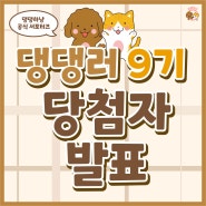 🎉 댕댕하냥 공식 서포터즈 댕댕러 9기 발표