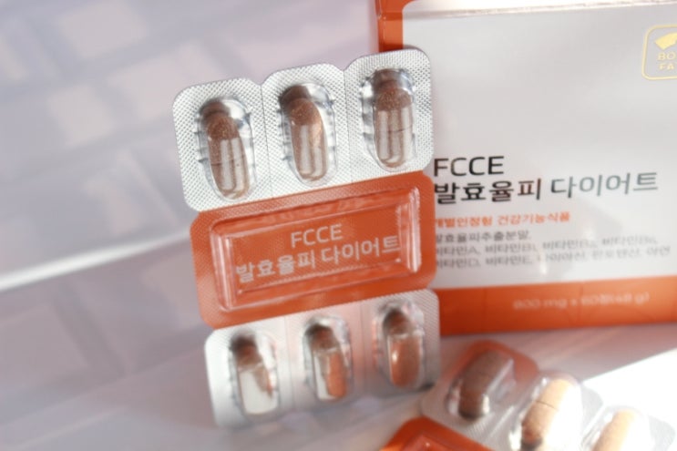FCCE 내돈내산 건강한 살 빼기 도전! : 네이버 블로그