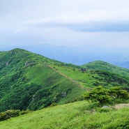 [2022년 오르막길 - 2] 소백산, 빗속에서의 첫 1,400m대 산행.