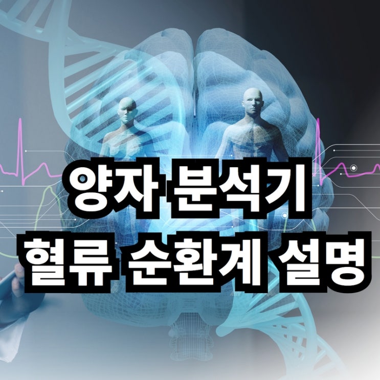 양자 분석기 혈류 순환계 설명 : 네이버 블로그