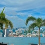 돌아기랑 싱가포르여행 3일차 : 마리나베이샌즈호텔 수영장, 쇼핑몰, 라이즈 디너 뷔페, 가든스바이더베이 슈퍼트리쇼(크리스마스 원더랜드)