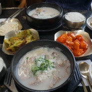 전주맛집 서울깍두기 깔끔한 갈비탕 전북도청 설렁탕 맛집